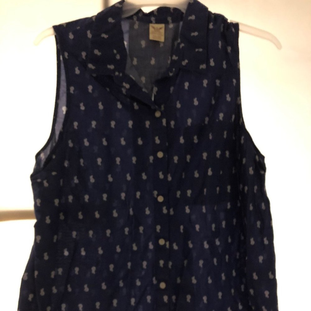 Blue Blouse